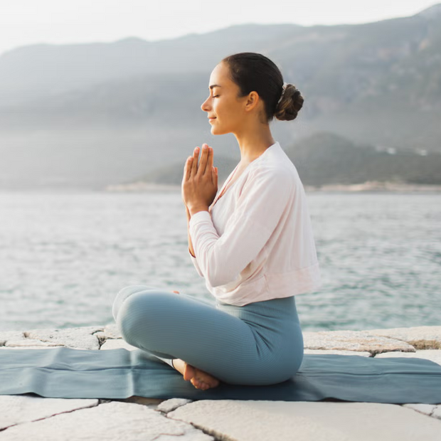 <h2>For Meditation</h2>