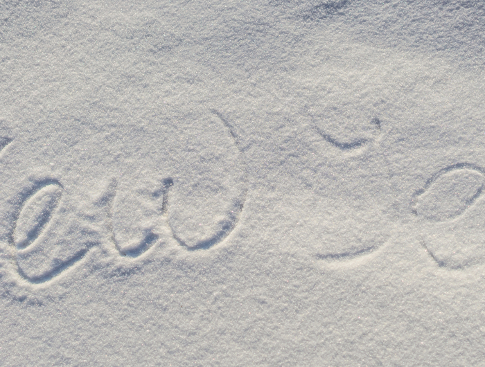 <h1>Our Most-Chosen Favorites</h1>